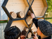 El proyecto financiado por el FNDR fortalece conservación local y el vínculo con la naturaleza.
