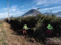 En el marco del programa "Nuestro Territorio Libre de Basura"  se realizaron labores en la región de O'Higgins y Metropolitana. 