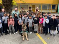 Se suma para colaborar en labores preventivas de patrullaje y fiscalización.