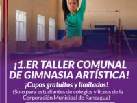 Iniciativa gratuita inicia en julio y se realizará los sábados en el colegio Marcela
Paz.