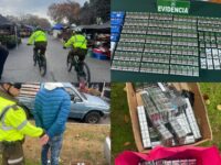 Se incautaron la totalidad de las especies.