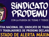 INDAP suspendió el ingreso de nuevas usuarias durante 2026 y revisará la continuidad de la iniciativa para el año siguiente.