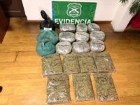 Trasladaban en el automóvil 19 bloques de droga.