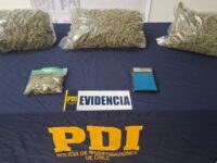 De acuerdo con los antecedentes reunidos por la PDI, la sustancia ilícita tenía como destino su comercialización en los sectores de La Esperanza, Rosario y otros puntos cercanos de la zona.