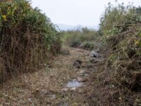 La intervención busca disminuir el riesgo de inundaciones y entregar mayor seguridad a las familias que residen en las cercanías.