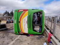 El accidente ocurrió en las cercanías de Rengo y generó congestión en dirección al sur, mientras equipos de emergencia acudían al lugar.