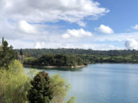 La Región de O’Higgins se perfila como la tercera más visitada del país durante las vacaciones de invierno, con una proyección de entre 257 mil y 306 mil viajes. Desde Sernatur y los gremios del sector esperan que el aumento de visitantes contribuya a reactivar una actividad que ha enfrentado una temporada baja más compleja que en años anteriores.