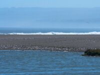 Municipio destaca rol del mar y alerta por contaminación y sobrepesca.