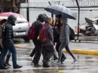 Esto se produciría como medida preventiva para resguardar a estudiantes, docentes, asistentes de la educación y sus familias.