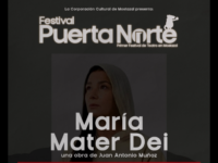 La actividad, "Festival Puerta Norte" contempla más de un mes de funciones para toda la comunidad.