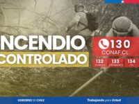 Balance final arrojó 55 hectáreas afectadas sin personas lesionadas ni daños a viviendas.