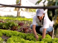 La iniciativa creada en 1992 por INDAP y PRODEMU dejará de recibir nuevas participantes desde este año y se extinguirá por completo en 2029. Usuarias y parlamentarios se reunieron con el subsecretario de Agricultura para manifestar su rechazo a la medida.