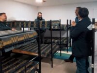 La medida busca entregar resguardo ante las bajas temperaturas y la emergencia climática.