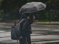 La medida se concentra principalmente en Pichidegua, Las Cabras, Pichilemu, Navidad y Peralillo. Además, seis jardines infantiles de JUNJI y Fundación Integra suspendieron su funcionamiento debido a las intensas lluvias.