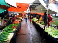 Precio de la bencina logró moderar la inflación del séptimo mes del año.