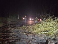 Recomendaron conducir con máxima atención y adoptar medidas de autocuidado para evitar accidentes mientras persistan las condiciones climáticas adversas.