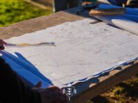 el proyecto contempla nuevas áreas verdes, iluminación, juegos infantiles, mobiliario urbano y espacios de circulación.