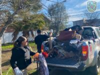 Según detalló el municipio, una vez finalizado el procedimiento, personal municipal realizó las labores de limpieza correspondientes en el sector donde se encontraba emplazado.