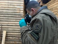 Desde Carabineros reiteraron la importancia de mantener en buen estado las instalaciones eléctricas y de gas.