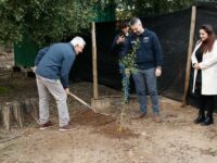 Ahora iniciaran desde el Minvu la recuperación de emblemática gruta. 