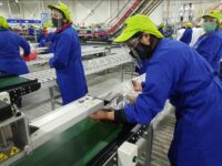 Por otra parte, durante 2025 la región superó los 450 mil trabajadores ocupados, la cifra más alta registrada tras la pandemia.