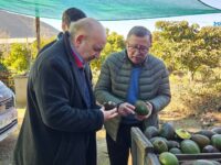 El parlamentario advirtió que las afectaciones no solo comprometen la cosecha de este año, sino también las próximas temporadas, y anunció gestiones para que el Gobierno incorpore esta realidad dentro de las ayudas por la emergencia.
