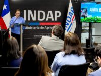 La Cuenta Pública 2025-2026 del Instituto de Desarrollo Agropecuario (INDAP) reveló que más de 11.500 usuarios de la Región de O’Higgins fueron atendidos por la institución, consolidando su rol en créditos, asesorías técnicas y programas de inversión.