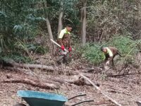 Efectivos del Retén Puente Negro se trasladaron hasta el sector precordillerano de Los Boscos para cortar y apilar leña a una pareja de adultos mayores, garantizando su calefacción y resguardo frente a las inclemencias del invierno.