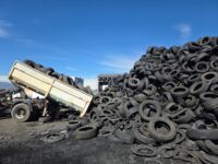 La iniciativa fue impulsada por la Seremi del Medio Ambiente y ejecutada junto a los municipios de Codegua, Coinco, Machalí y Pichidegua