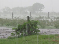 La jornada del martes concentrará las lluvias más intensas en costa, valle y precordillera.