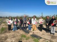La jornada reunió a usuarios de Prodesal, agricultores y viveristas, quienes aprendieron técnicas para reproducir y cuidar especies propias del bosque nativo chileno.