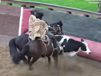 Acción hubo en las medialunas de la región para estas Fiestas Patrias.