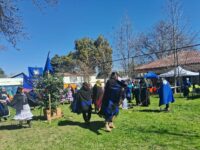 La ceremonia terminó con la entrega de un aliwen (árbol) como reconocimiento a la labor de las mujeres liderezas en el territorio.
