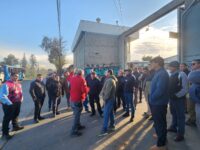 Según otras informaciones, esta medida habría sido solicitada por un empresario, quien habría pedido guardar los vehículos hasta que se logre solucionar la problemática.
