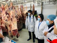 En la antesala de Fiestas Patrias, las fiscalizaciones se han concentrado en carnicerías, supermercados y otros puntos de venta, con especial atención a la cadena de frío y las condiciones de los productos.