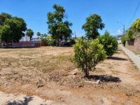 Con una inversión cercana a los $200 millones.
