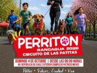 La actividad se realizará este domingo 4 de octubre en el exterior del Complejo Deportivo Patricio Mekis y contará además con adopciones, instalación de microchips, feria para mascotas y premios.