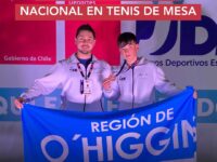 El estudiante del Instituto Regional Federico Errázuriz alcanzó el podio representando al establecimiento de Santa Cruz en la competencia escolar.