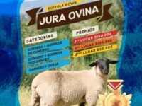 Proceso estará abierto hasta el 23 de octubre.