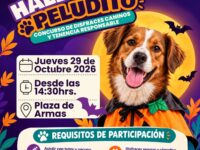 La actividad se realizará este jueves 29 de octubre en la Plaza de San Francisco. Los primeros 20 perritos que lleguen disfrazados recibirán un obsequio especial.