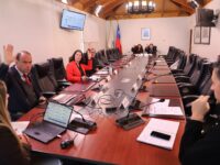 El Consejo Regional planteó observaciones al proyecto Las Garzas, que contempla 456 viviendas y más de 1.200 estacionamientos en el sector Curva de la Muerte-Los Portones.