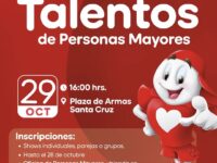 La actividad se desarrollará el 29 de octubre en la Plaza de Armas y contará con presentaciones artísticas y aportes voluntarios para la campaña solidaria.