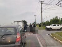 El hecho ocurrió durante la tarde de este sábado, en el acceso al sector Santa Julia. El animal habría fallecido en el lugar.
