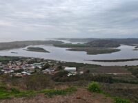 Considera una inversión sectorial de $1.871 millones, con un plazo de ejecución de 435 días corridos