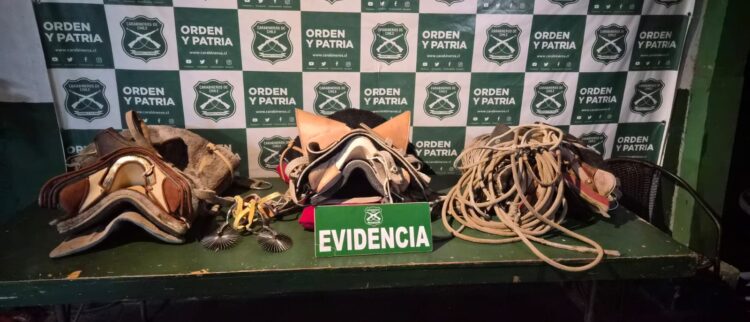 Investigación de la SIP termina con siete detenidos por robos en Chimbarongo