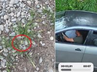 Disparos de grueso calibre fueron dirigidos hacia un fundo de San Joaquín de Los Mayos el pasado 1 de octubre. La víctima denunció el hecho ante la PDI y Fiscalía, mientras la investigación sigue en curso. Tras el ataque, asegura haber reforzado las medidas de seguridad para proteger a su familia, trabajadores y bienes.