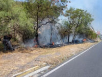 Producto químico de bajo riesgo y autorizado por las autoridades busca reducir incendios forestales en la importante carretera.