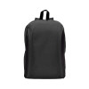 Morral Iris