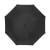 Paraguas Golf Palmer