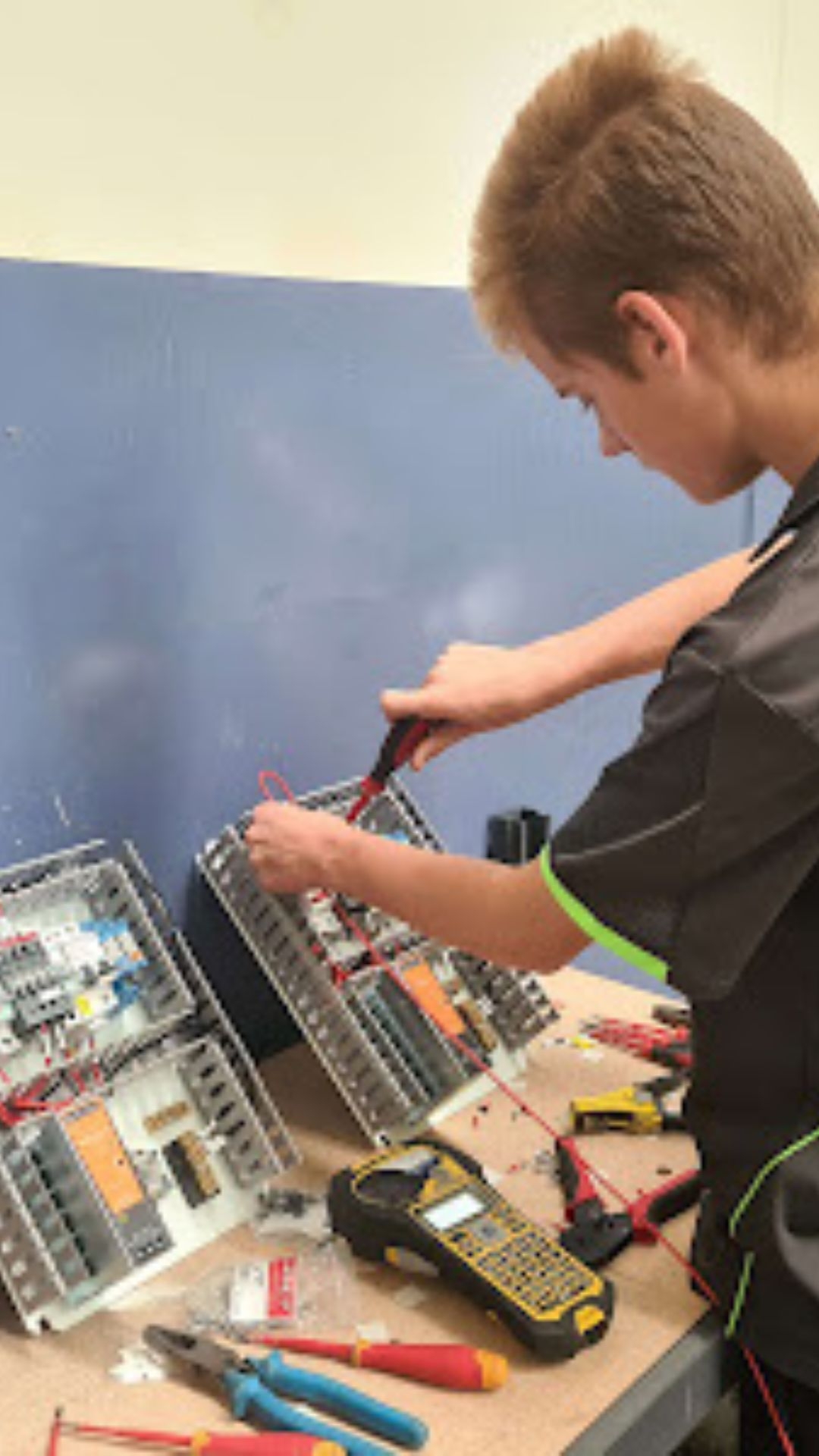 What makes In Effect Electrical reliable for domestic services?